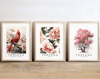 Indiana State Bird Northern Cardinal, State Tree Tulip Tree, State Flower Peony, Set of 3 Poster Prints, Wall Art home Décor