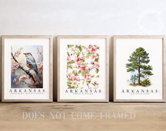 Arkansas State Bird Northern Mockingbird, State Tree Loblolly Pine, State Flower Apple Blossom, Set of 3 Poster Prints, Wall Art Home Décor