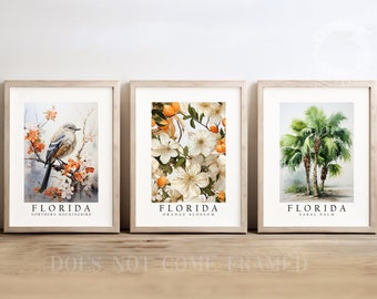 Florida State Bird Northern Mockingbird, State Tree Sabal Palm, State Flower Orange Blossom, Set of 3 Poster Prints, Wall Art Décor