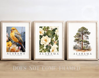 Alabama State Bird Yellowhammer, State Tree Longleaf Pine, State Flower Camellia, Set of 3 Poster Prints, Wall Art Home Décor