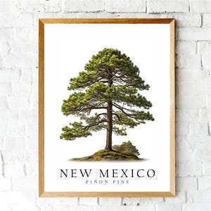Piñon Pine, The State Tree of New Mexico, Poster Print, Wall Décor