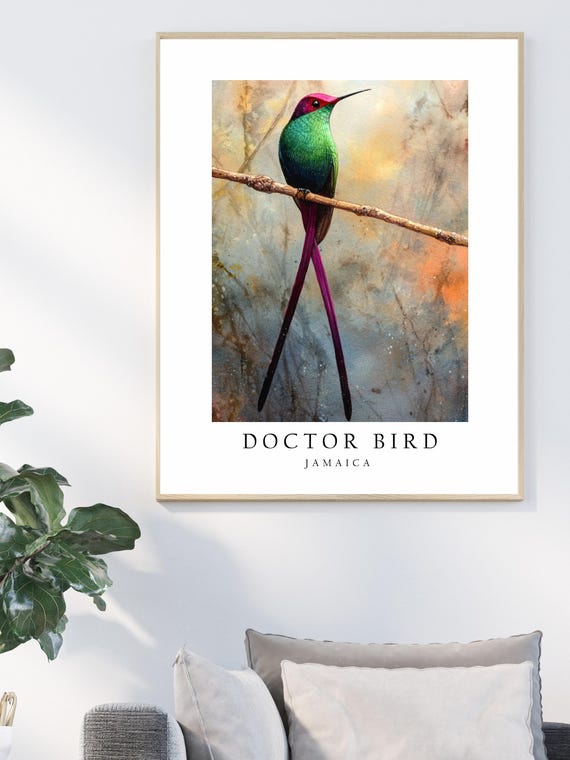 Doctor Bird, Jamaica National Bird, Poster Print, Wall Art Home