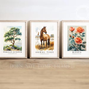 May include: Three framed prints with watercolor illustrations of a Persian juniper tree, an Akhal-Teke horse, and roses. Each print features the name of the subject and "Turkmenistan" below.