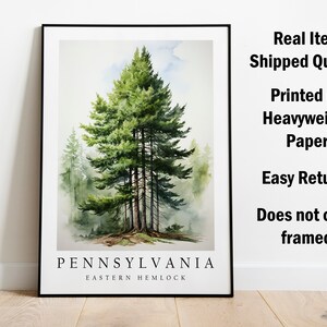 Eastern Hemlock, The State Tree of Pennsylvania, Poster Print, Wall Décor bild 3