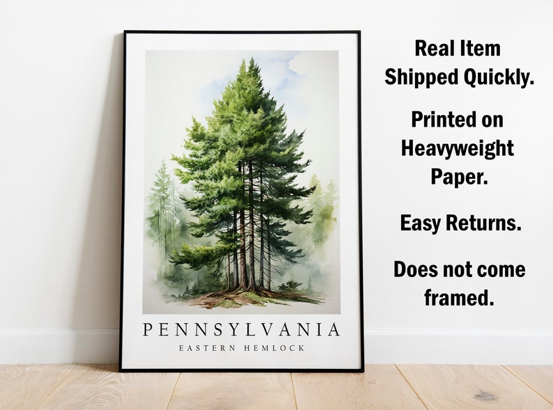 Eastern Hemlock, The State Tree of Pennsylvania, Poster Print, Wall Décor bild 3