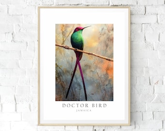 Doctor Bird, Jamaica National Bird, Poster Print, Wall Art Home Décor