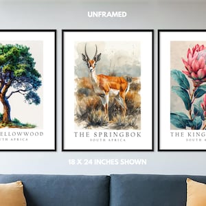 South Africa National Symbols Poster Prints, Springbok, Protea ...