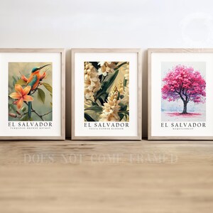 Pu&ograve; includere: Tre stampe incorniciate con il testo "El Salvador" e immagini di un uccello motmot marrone turchese, fiori di yucca e un albero con fiori rosa.