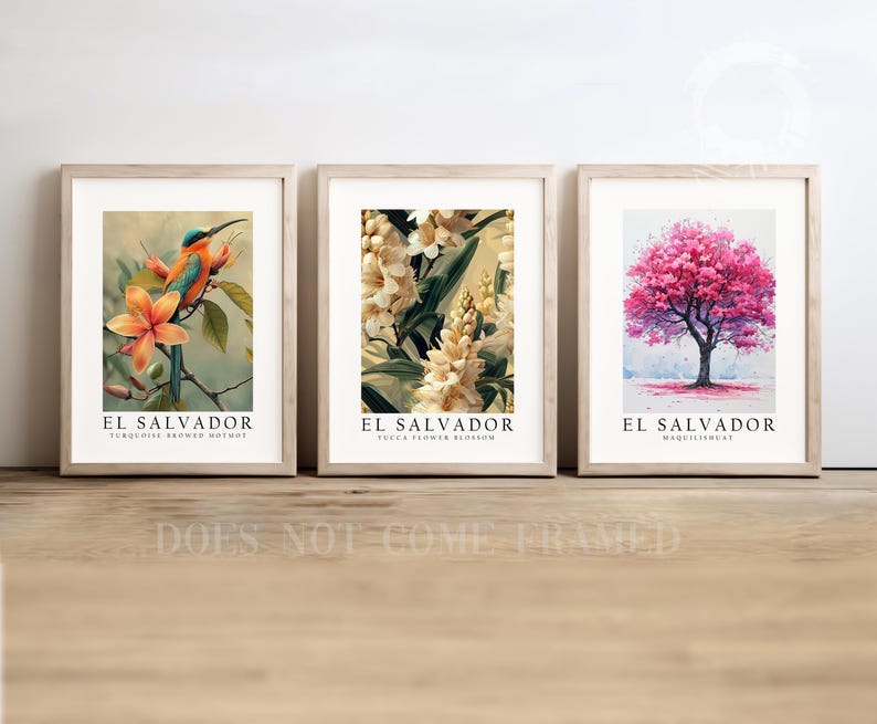 Pu&ograve; includere: Tre stampe incorniciate con il testo "El Salvador" e immagini di un uccello motmot marrone turchese, fiori di yucca e un albero con fiori rosa.