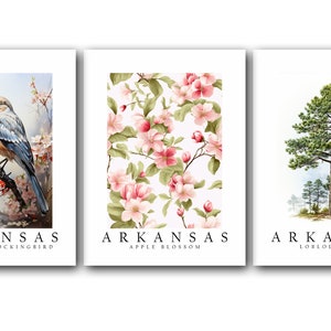 Arkansas State Bird Northern Mockingbird, State Tree Loblolly Pine, State Flower Apple Blossom, Set of 3 Poster Prints, Wall Art Home Décor image 5