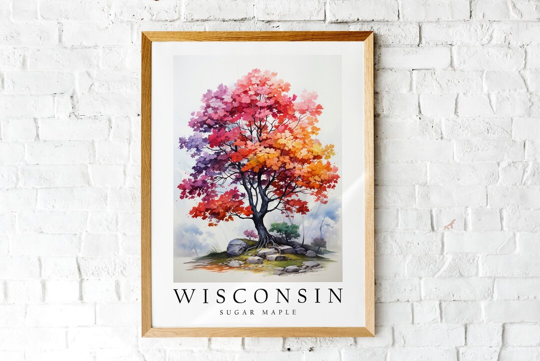 Sugar Maple, the State Tree of Wisconsin, Poster Print, Wall Décor - Etsy