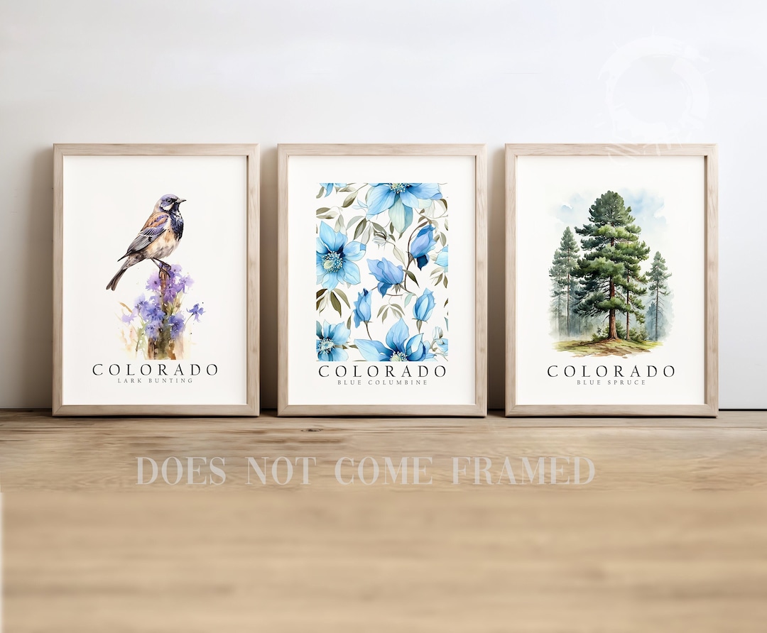 Colorado State Symbols Poster Print Set, Bird, Tree, Flower - Etsy