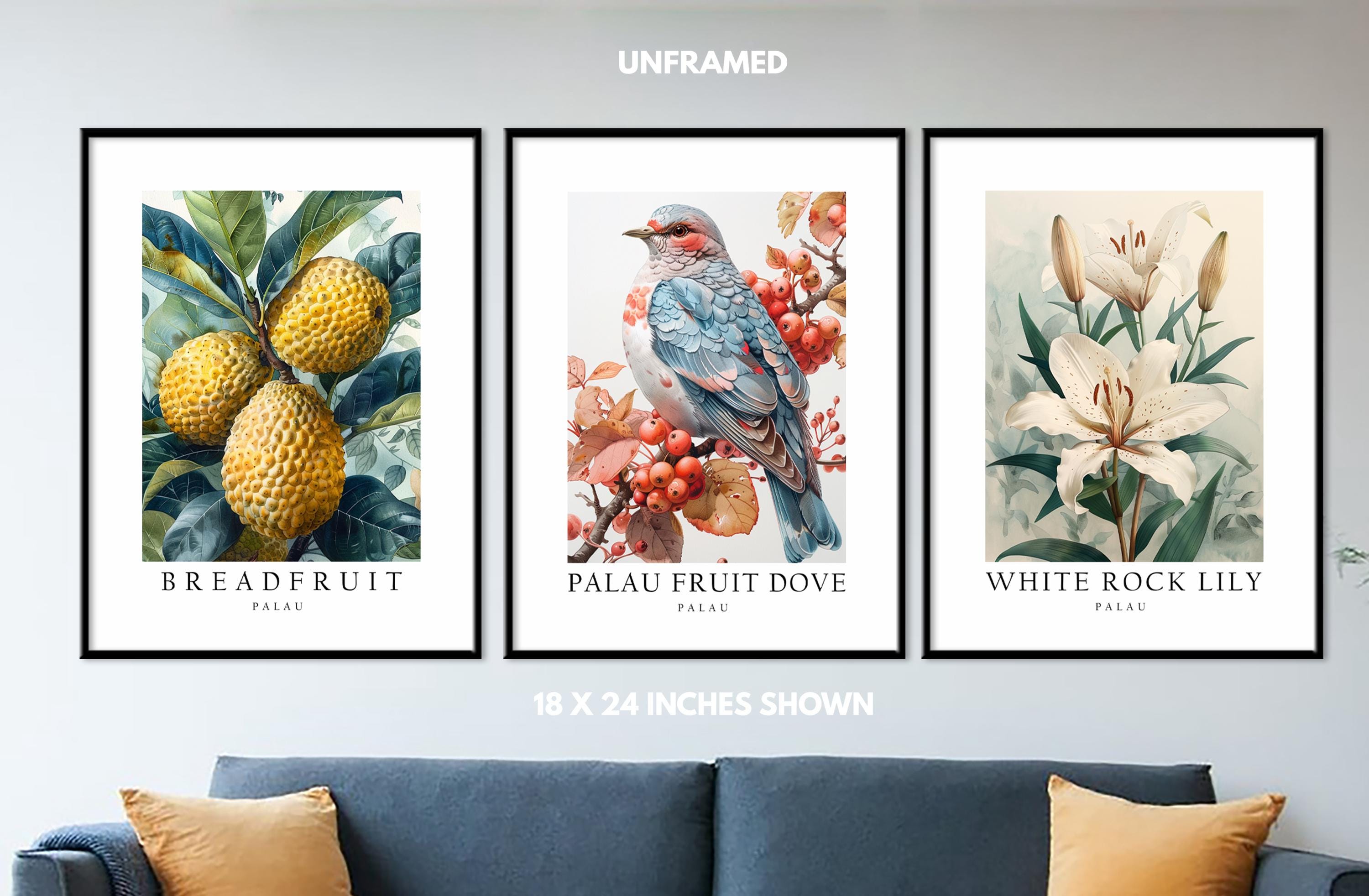 Palau National Symbols Poster Prints Fruit dove Lily Breadfruit Set Palau National Symbols Poster Prints Fruit dove Lily Breadfruit Set