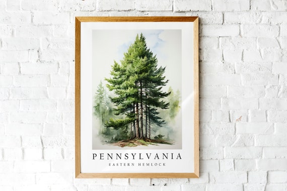 Eastern Hemlock, The State Tree of Pennsylvania, Poster Print, Wall Décor