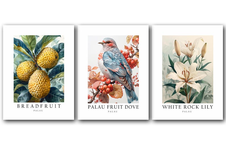 Palau National Symbols Poster Prints Fruit dove Lily Breadfruit Set Palau National Symbols Poster Prints Fruit dove Lily Breadfruit Set