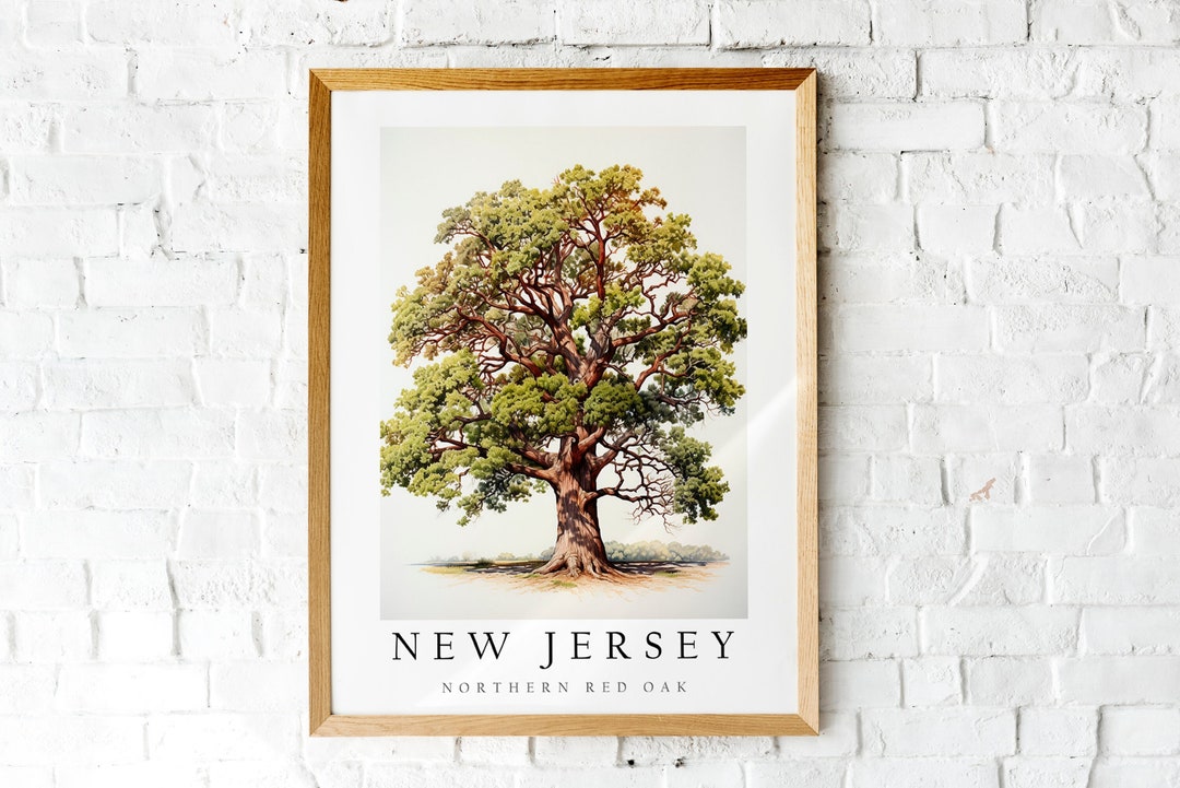 Northern Red Oak, the State Tree of New Jersey, Poster Print, Wall ...