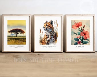 Sudan National Symbols Poster Prints: Cheetah, Hibiscus, Umbrella Tree Set of 3