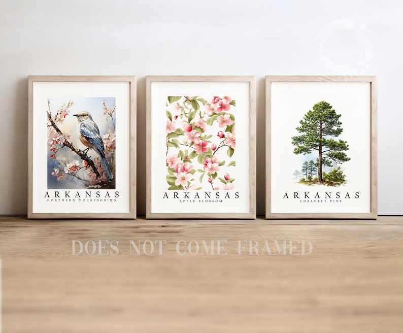 Arkansas State Bird Northern Mockingbird, State Tree Loblolly Pine, State Flower Apple Blossom, Set of 3 Poster Prints, Wall Art Home Décor image 1