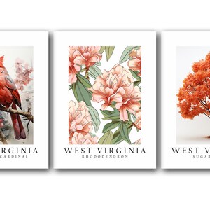 West Virginia State Bird Northern Cardinal, State Tree Sugar Maple ...