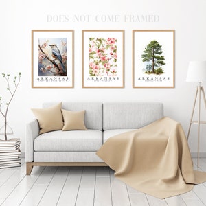 Arkansas State Bird Northern Mockingbird, State Tree Loblolly Pine, State Flower Apple Blossom, Set of 3 Poster Prints, Wall Art Home Décor image 3