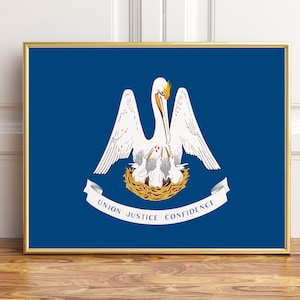 Louisiana Flag Art Louisiana Flag Print Flag Poster State 