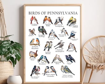 Pennsylvania Birds Poster: Backyard Bird Guide Wall Art