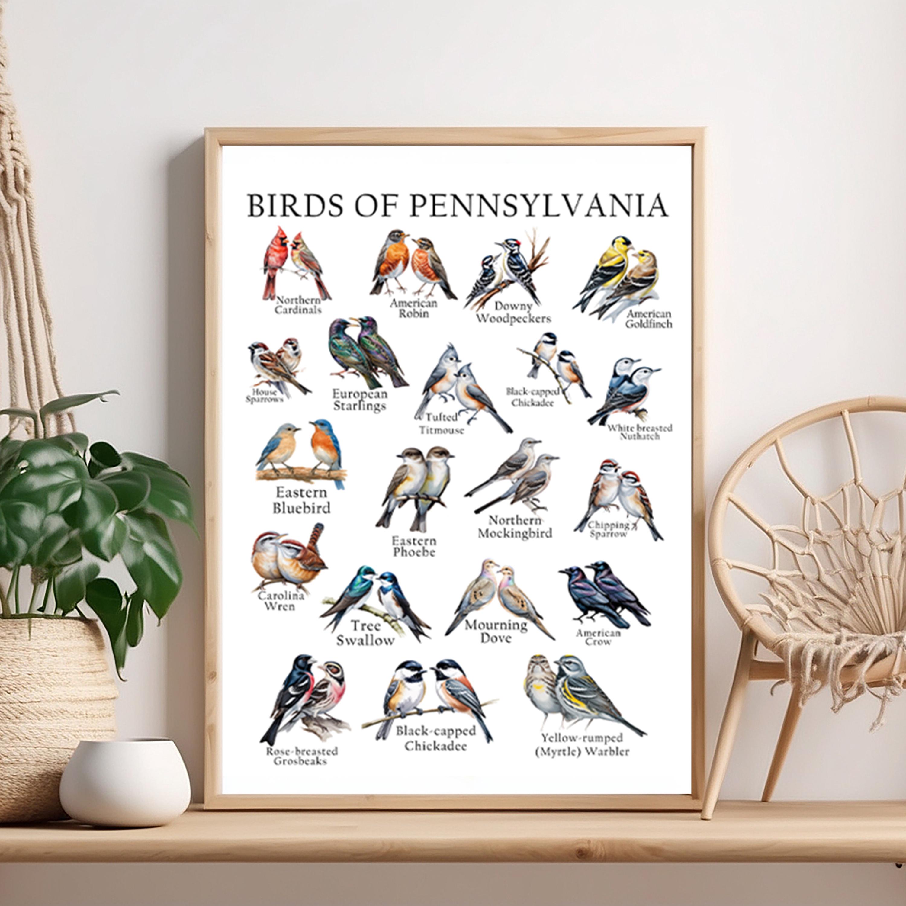 Pennsylvania Birds Poster: Backyard Bird Guide Wall Art - Etsy