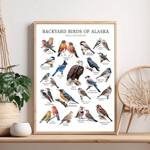 Alaska Birds Poster Print: Backyard Bird Guide, Alaskan Wildlife Wall Art