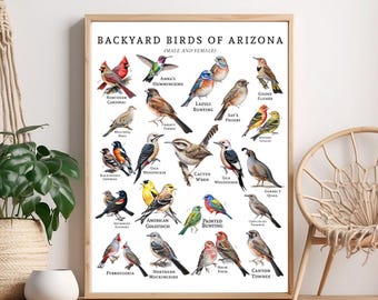 Pennsylvania Birds Poster: Backyard Bird Guide Wall Art - Etsy