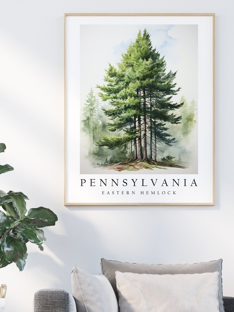 Eastern Hemlock, The State Tree of Pennsylvania, Poster Print, Wall Décor bild 2
