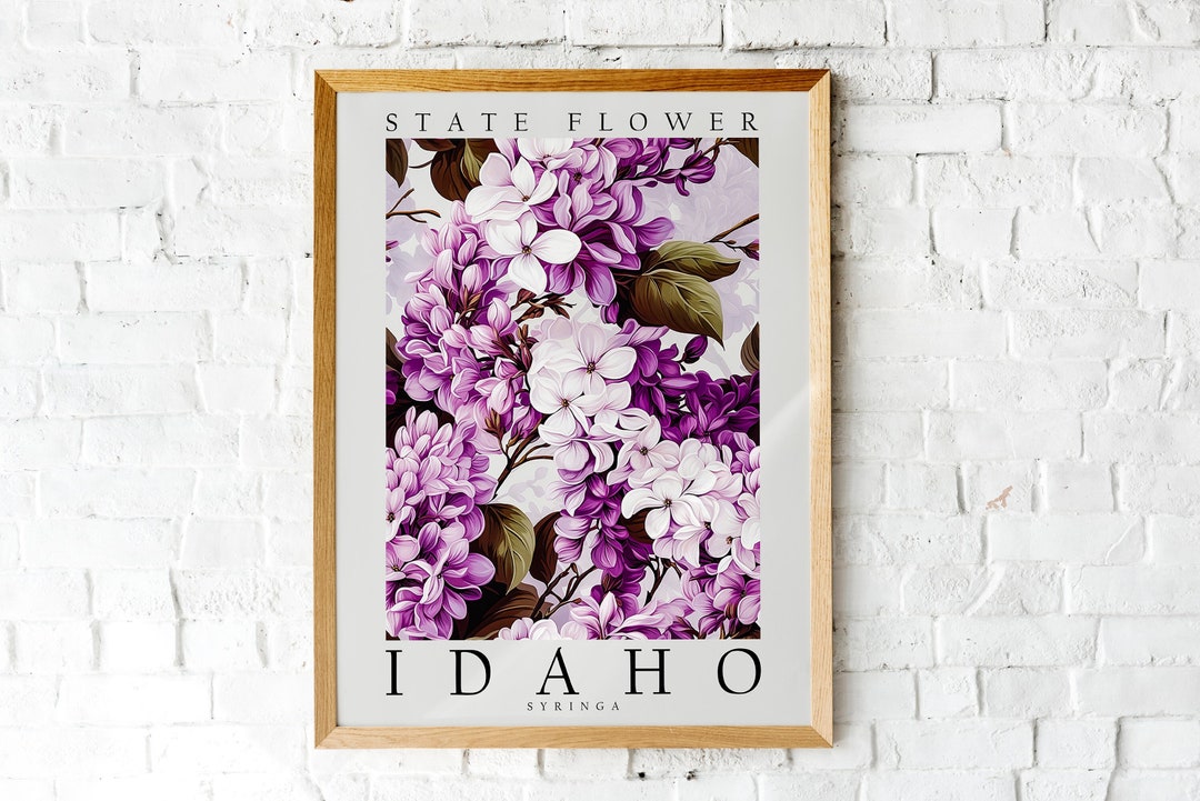 Syringa, the State Flower of Idaho, Poster Print, Wall Décor - Etsy