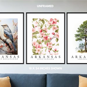Arkansas State Bird Northern Mockingbird, State Tree Loblolly Pine, State Flower Apple Blossom, Set of 3 Poster Prints, Wall Art Home Décor image 2