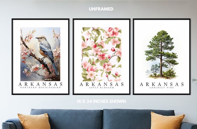 Arkansas State Bird Northern Mockingbird, State Tree Loblolly Pine, State Flower Apple Blossom, Set of 3 Poster Prints, Wall Art Home Décor image 2