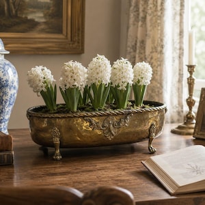 Vintage English Brass Oval Cachepot Planter, Footed Jardiniere with Paw Feet, Applied Neoclassical Decor, Country House Centerpiece