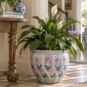 Può includere: Una pianta di giglio della pace con foglie verde scuro e fiori bianchi a forma di spata, piantata in un vaso di ceramica rotondo. Il vaso presenta una base bianca con un motivo floreale ripetitivo blu e rosa disposto in sezioni verticali curve.