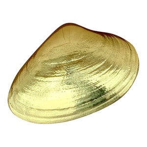 Kołatka do drzwi z odlewu mosiężnego w stylu vintage Quohog Clam