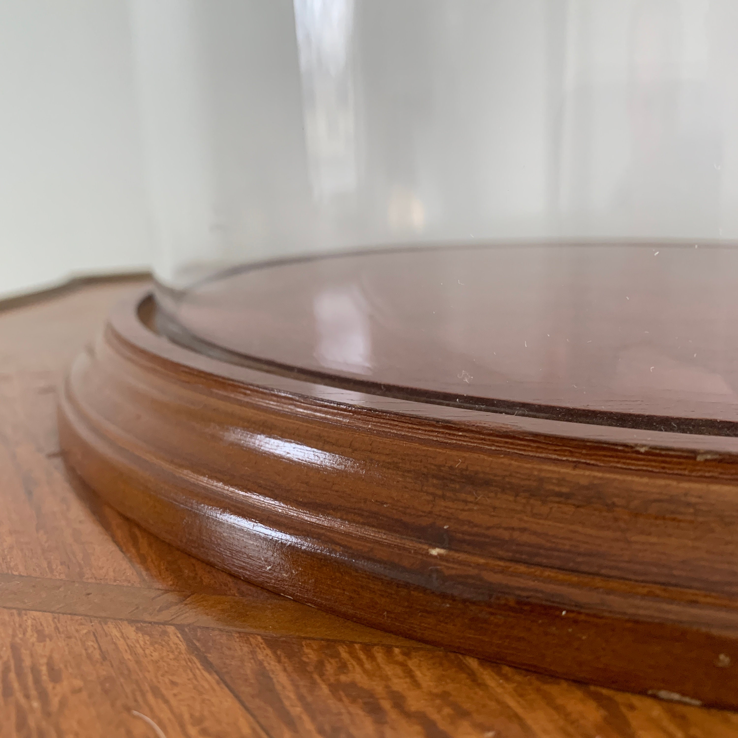 Large Glass Display Dome With Wooden Base Etsy