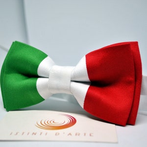 Fliege mit italienischer Flagge für Herren oder Kinder, Tricolor-Fliege, Geschenkideen für Männer, Accessoires für Männer, für ihn, originelle Accessoires Bild 2