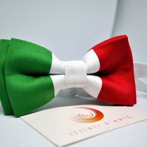 Fliege mit italienischer Flagge für Herren oder Kinder, Tricolor-Fliege, Geschenkideen für Männer, Accessoires für Männer, für ihn, originelle Accessoires Bild 4