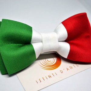 Fliege mit italienischer Flagge für Herren oder Kinder, Tricolor-Fliege, Geschenkideen für Männer, Accessoires für Männer, für ihn, originelle Accessoires Bild 5