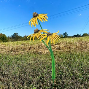 Hand Painted Black Eyed Susan Flower Garden Art