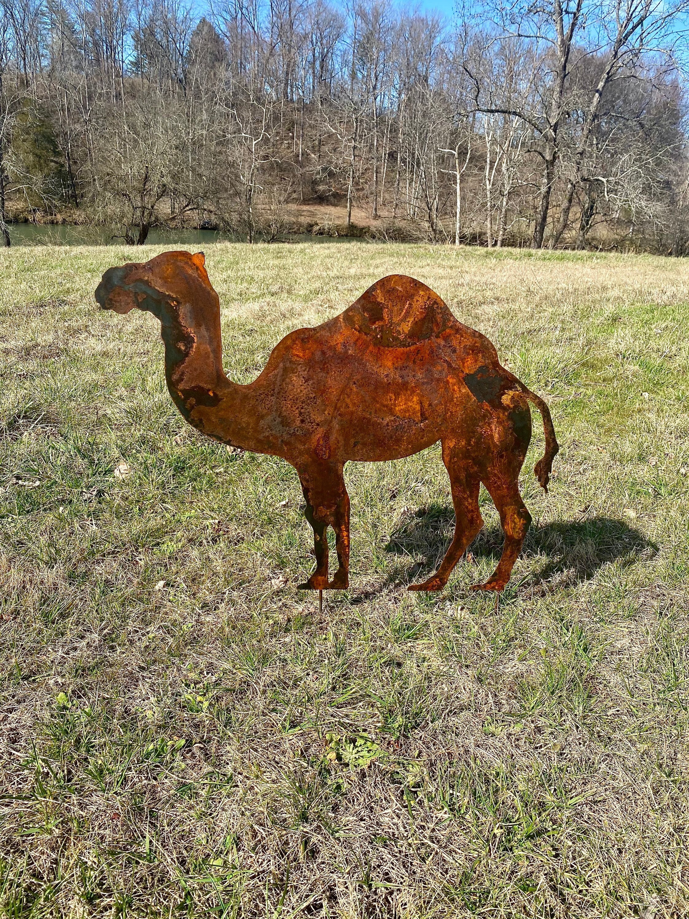 Aluminium-Schild „Slow Camel At Play“ – 20,3 X 30,5 Cm, Kamel-Warnschild/Deko | Wetterfest, Mit Aufhänge-Löchern, Für Innen & Außen