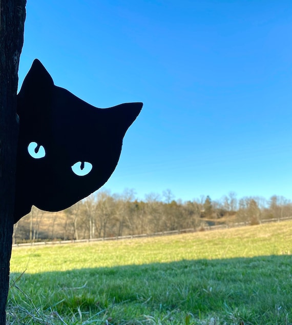 Krabbelpaal Feandrea, Modern, Kattenboom, Metalen Buizen, Met Kussen En Platform Sisalstam Kattenspeelbal 80 X 43 111 Cm Voor Kleine Grote Oude Kat Klassiek Zwart Pct117b01 549977475