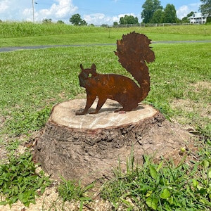 Rustic Metal Squirrel with Brackets- Tree Stump Art- Mailbox Decor- Outdoor Animal Yard Decoration- Summer Woodland Creatures Plasma Art image 6