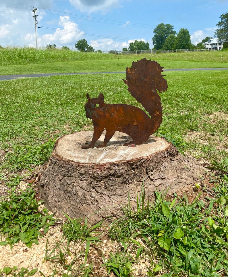 Rustic Metal Squirrel with Brackets- Tree Stump Art- Mailbox Decor- Outdoor Animal Yard Decoration- Summer Woodland Creatures Plasma Art image 6