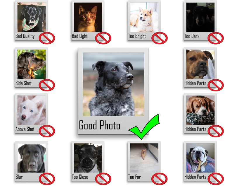 Animal Portrait Painting Funny Pet Portrait Renaissance Portrait Custom Artist Pet Portrait Artist Pet Costume Male Pet Parent Gift Digital Prints Art Collectibles Kientructhanhdat Com