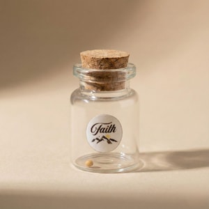 Mustard Seed Faith Jar Gift Idea Christian Reminder Bible Verse Matthew Inspiration Desk Ornament Religious Keepsake Tiny Container Cork
