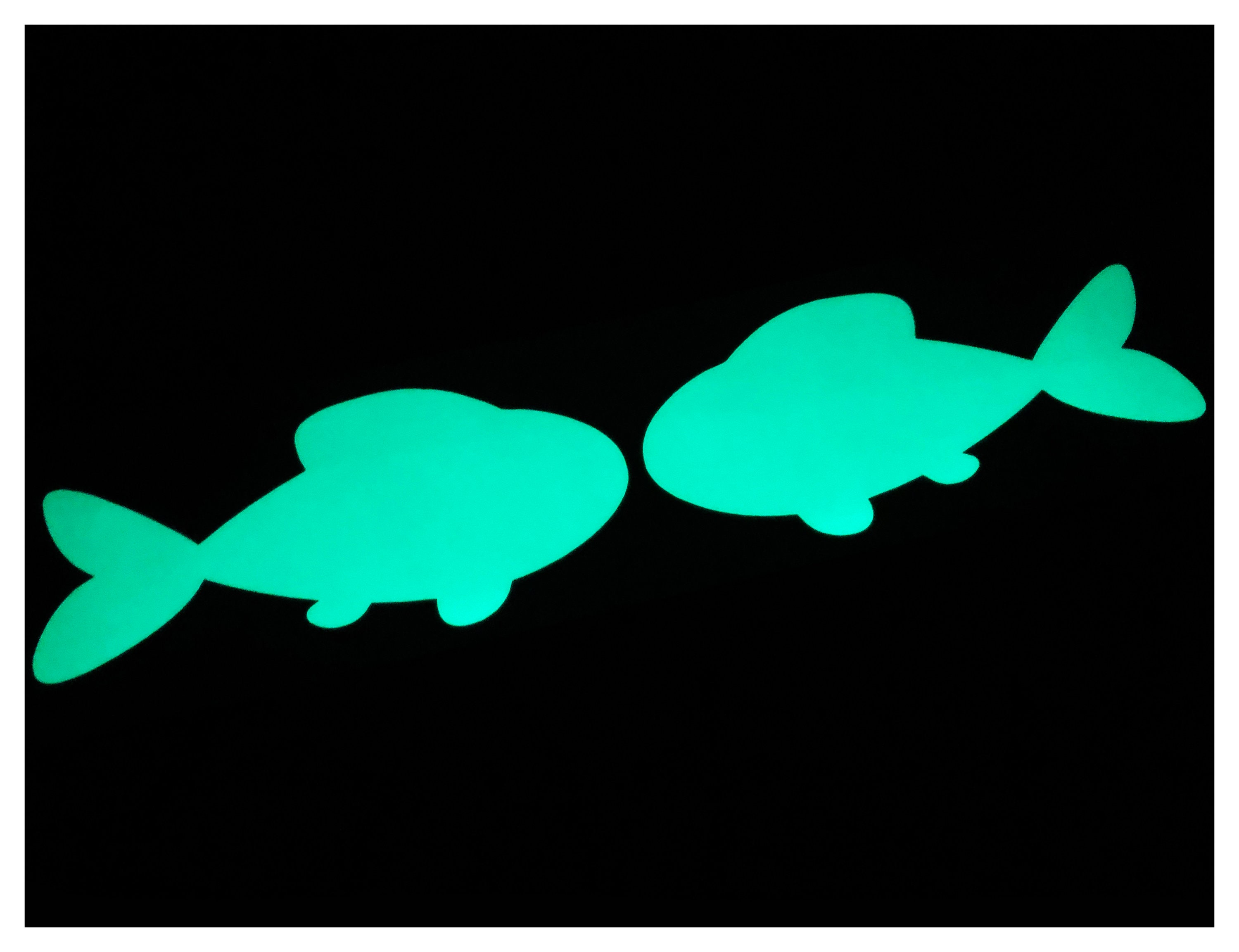 Buy Fish large Glow in the Dark Stickers Peel and Stick Decals Online in  India 