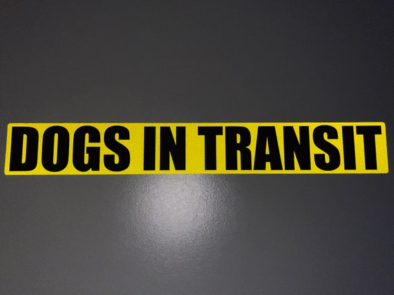 Adesivi Sagomati | Stampa Adesivi Fustellati [In 48 Ore - Foto 5