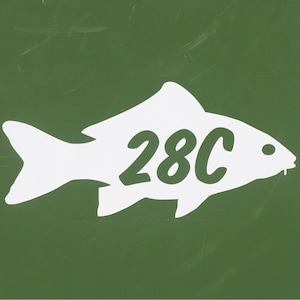 Carp Fish Wheelie Bin Sticker - Gloss